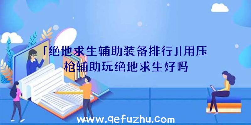 「绝地求生辅助装备排行」|用压枪辅助玩绝地求生好吗